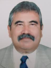 José G. Vargas-Hernández   (Prof. Dr.)
